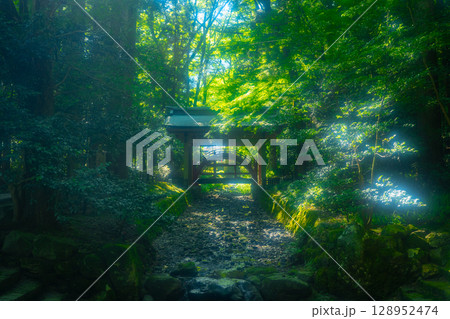 越後一宮 彌彦神社 玉の橋 越後一宮 彌彦神社 玉の橋 128952474