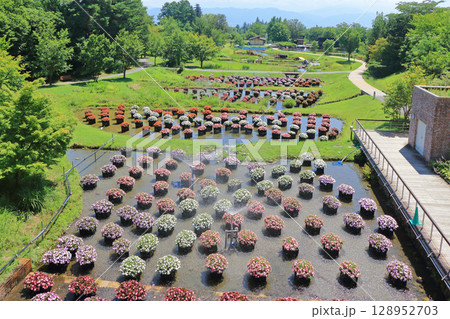 国営アルプスあづみの公園　サンパチェンスの水上花壇 128952703