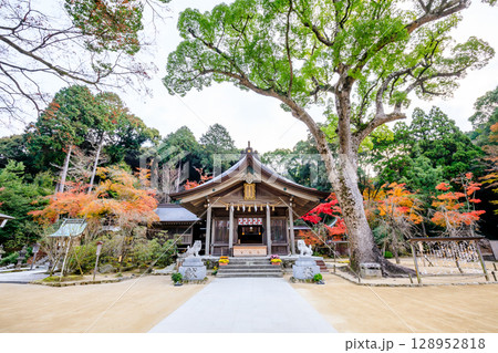 秋の竈門神社　福岡県太宰府市 128952818