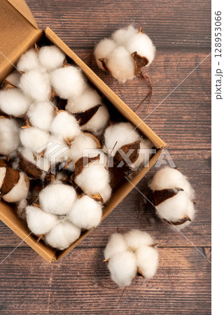 Artificial cotton in eco-friendly craft packaging, ideal for fall decorations and handmade crafts. Adds a touch of warmth and comfort 128953066