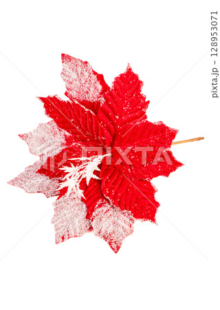Side view of red poinsettia with delicate white snowflakes. Decorative artificial Christmas flower for winter-themed compositions and crafts. 128953071