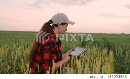 Agriculture, Female farmer using tablet in wheat field, Young woman with tablet in agriculture, Modern technology in agriculture, Woman checking crops with digital tablet, Smart farming concept Agriculture, Female farmer using tablet in wheat field, Young woman with tablet in agriculture, Modern technology in agriculture, Woman checking crops with digital tablet, Smart farming concept 128953268