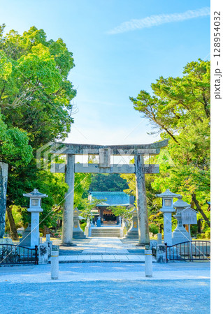 夏の宗像大社　辺津宮　福岡県宗像市 128954032