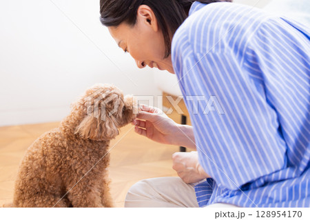 ペット　しつけ　お座りしているトイプードル 128954170