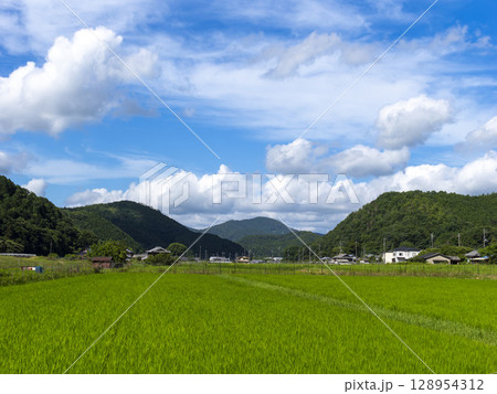 大阪府の能勢町宿野に広がる田園風景 大阪府の能勢町宿野に広がる田園風景 128954312