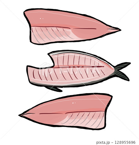 魚の三枚おろしのイラスト(赤身魚/マグロ・サバ対応) 魚の三枚おろしのイラスト(赤身魚/マグロ・サバ対応) 128955696