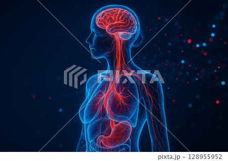 AI generated glowing side view of female upper body showing transparent brain blood vessels and lungs in neon red and blue with futuristic sci fi digital particle background 128955952