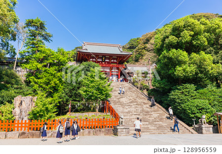 鎌倉　鶴岡八幡宮　本宮と大石段 128956559