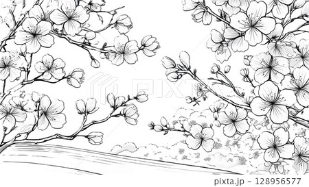 桜の花のイラスト 128956577
