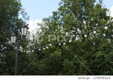 Beautiful and Charming Park, Enhanced by String Lights and Surrounded by Lush Green Trees 128956828