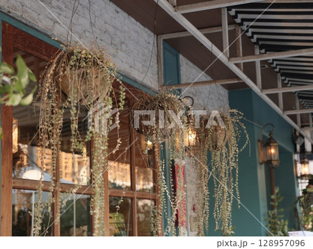 Charming Hanging Plants Decor by the Window Brings a Refreshing Aesthetic, Inviting Ambiance Charming Hanging Plants Decor by the Window Brings a Refreshing Aesthetic, Inviting Ambiance 128957096