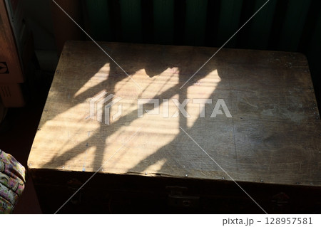 Sunlight creates beautiful patterns on wood, enhancing its visual appeal and charm 128957581