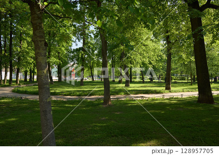 The Peaceful Green Park, with lush trees and winding paths, invites visitors to unwind 128957705