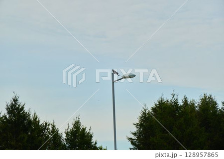 A bird is calmly perched on a street lamp beneath an overcast, cloudy sky above 128957865