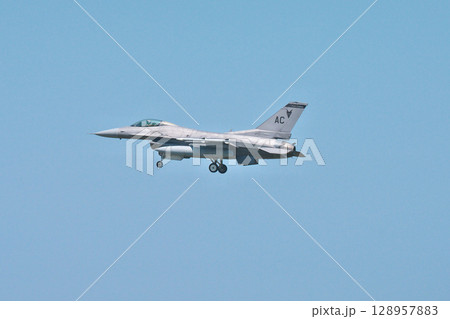 日米戦闘機共同訓練 日米戦闘機共同訓練 128957883