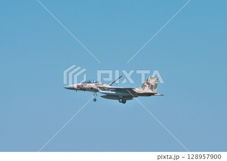 日米戦闘機共同訓練 128957900