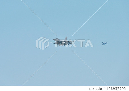 日米戦闘機共同訓練 日米戦闘機共同訓練 128957903