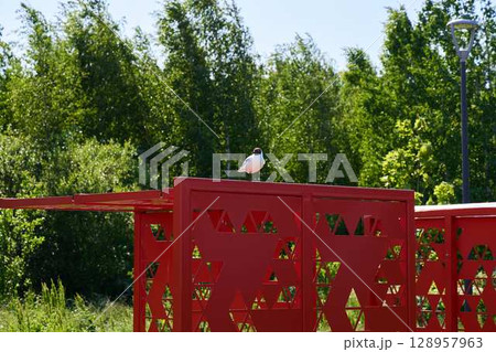A small bird perches on a red structure, surrounded by greenery under bright sunlight 128957963