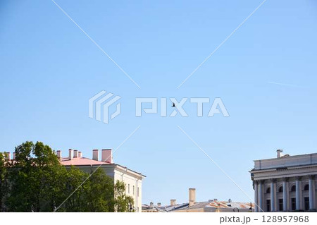 A stunning cityscape features a bird soaring gracefully against a clear blue sky today A stunning cityscape features a bird soaring gracefully against a clear blue sky today 128957968