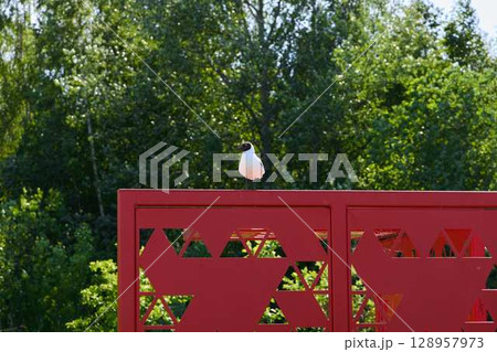 A bird perched on a red fence surrounded by vibrant greenery, creating a beautiful scene A bird perched on a red fence surrounded by vibrant greenery, creating a beautiful scene 128957973