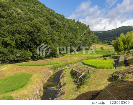 兵庫県の猪名川町柏原地区に広がる棚田の風景 兵庫県の猪名川町柏原地区に広がる棚田の風景 128958509