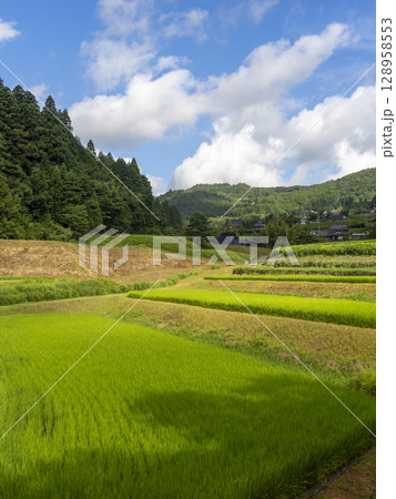 猪名川町の柏原地区に広がる棚田の風景 128958553