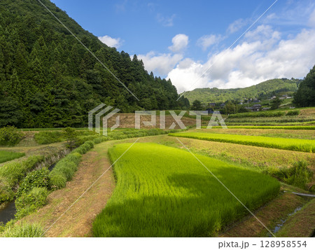 猪名川町の柏原地区に広がる棚田の風景 猪名川町の柏原地区に広がる棚田の風景 128958554
