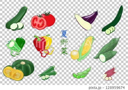 夏天菜例證集合 128959674