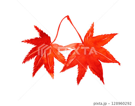 鮮やかな紅葉の手描きの水彩素材 鮮やかな紅葉の手描きの水彩素材 128960292