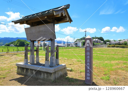 史跡　藤原京朱雀大路跡 128960667