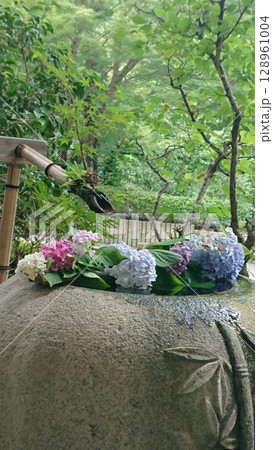 紫陽花がある日本庭園 128961004