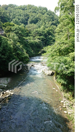 新緑と河の風景 128961005