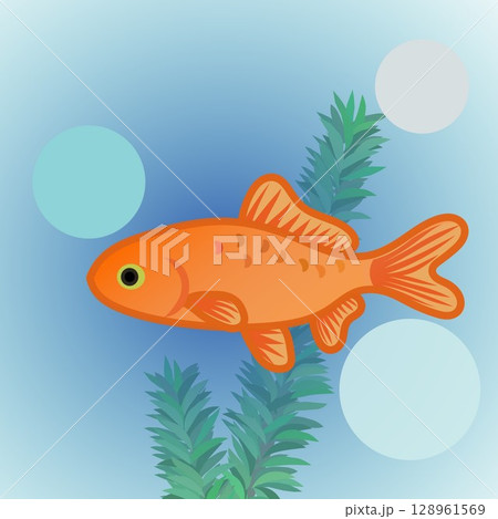 和金のイラスト 128961569