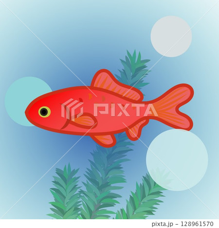 和金のイラスト 128961570