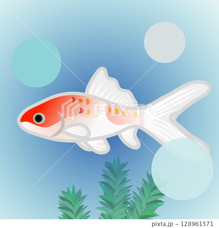 更紗和金のイラスト 更紗和金のイラスト 128961571