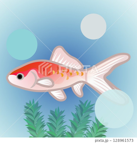 更紗和金のイラスト 更紗和金のイラスト 128961573