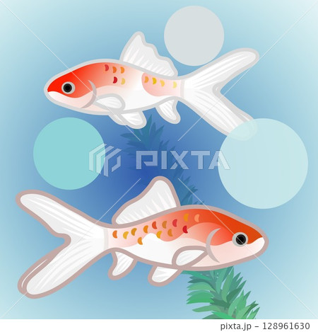 更紗和金のイラスト 128961630