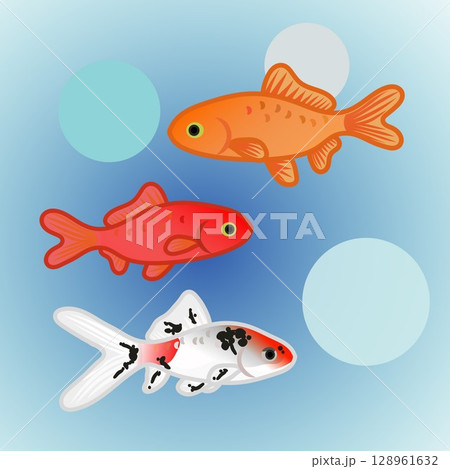 和金のイラスト 和金のイラスト 128961632