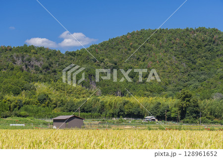 彼岸花と田園風景（北嵯峨 大沢池周辺 ） 128961652