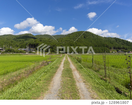 田園の中を通る農道 田園の中を通る農道 128961807