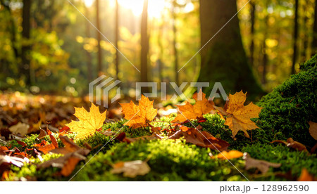 紅葉　秋　生成AI　背景　 128962590