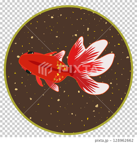 円形背景つき琉金のイラスト 128962662