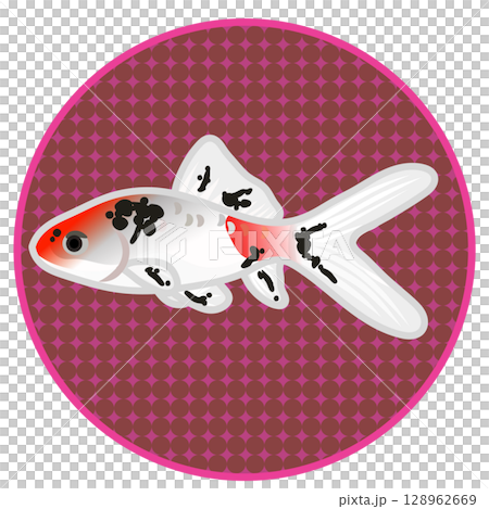 円形背景つきキャリコ和金のイラスト 128962669