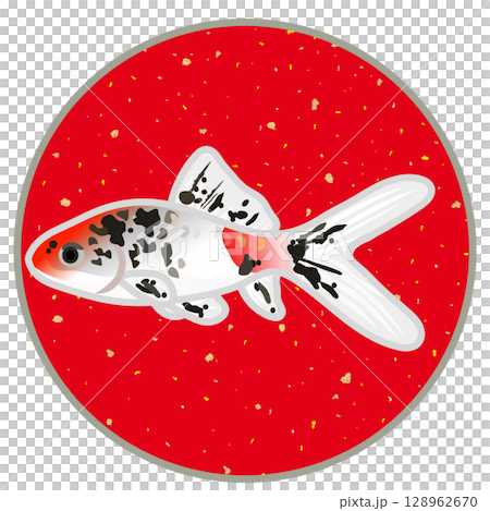 円形背景つきキャリコ和金のイラスト 128962670