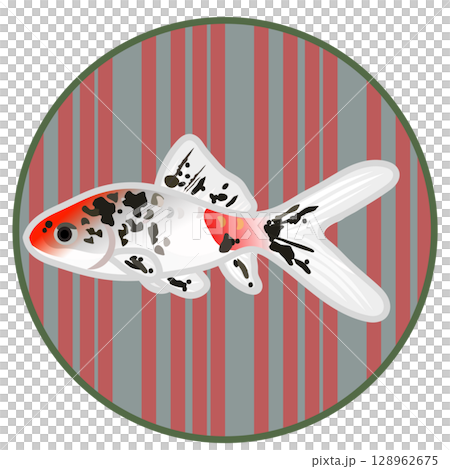 円形背景つきキャリコ和金のイラスト 128962675