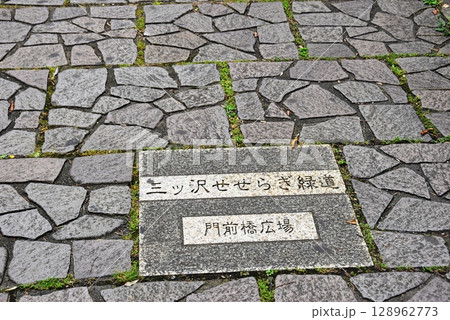 横浜市　三ツ沢せせらぎ緑道門前橋広場付近の水辺の遊歩道 128962773
