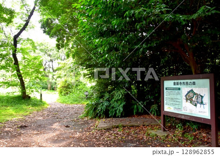 横浜市神奈川区　豊顕寺市民の森散策路と案内板 128962855
