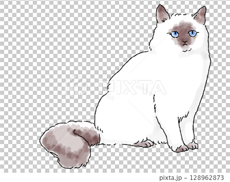 手描き風のシンプルなラグドール 128962873