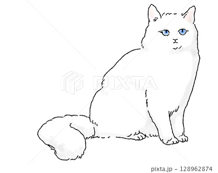 手描き風シンプルな長毛種の白猫 128962874