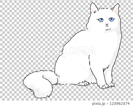 手描き風シンプルな長毛種の白猫 128962874